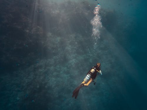 Free Person Diving on Ocean Stock Photo