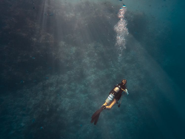 Person Diving On Ocean