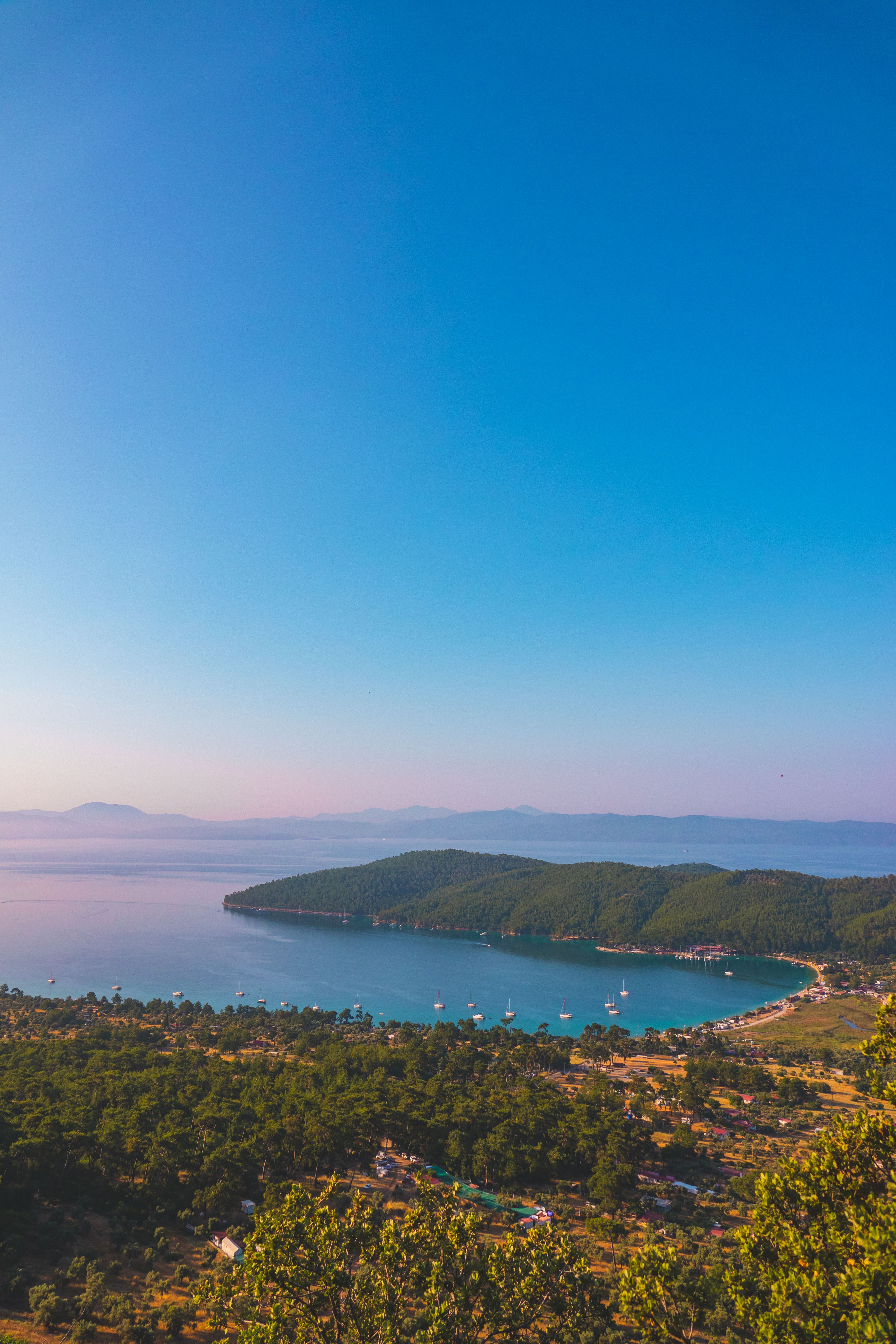 Scenic Bay View with Forested Coastline at Sunrise · Free Stock Photo