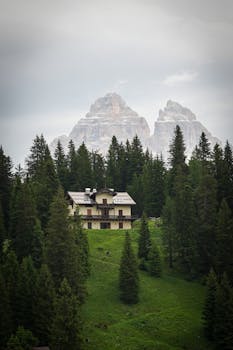 A picturesque cabin set against a lush forest with stunning mountain backdrop, ideal for nature lovers.