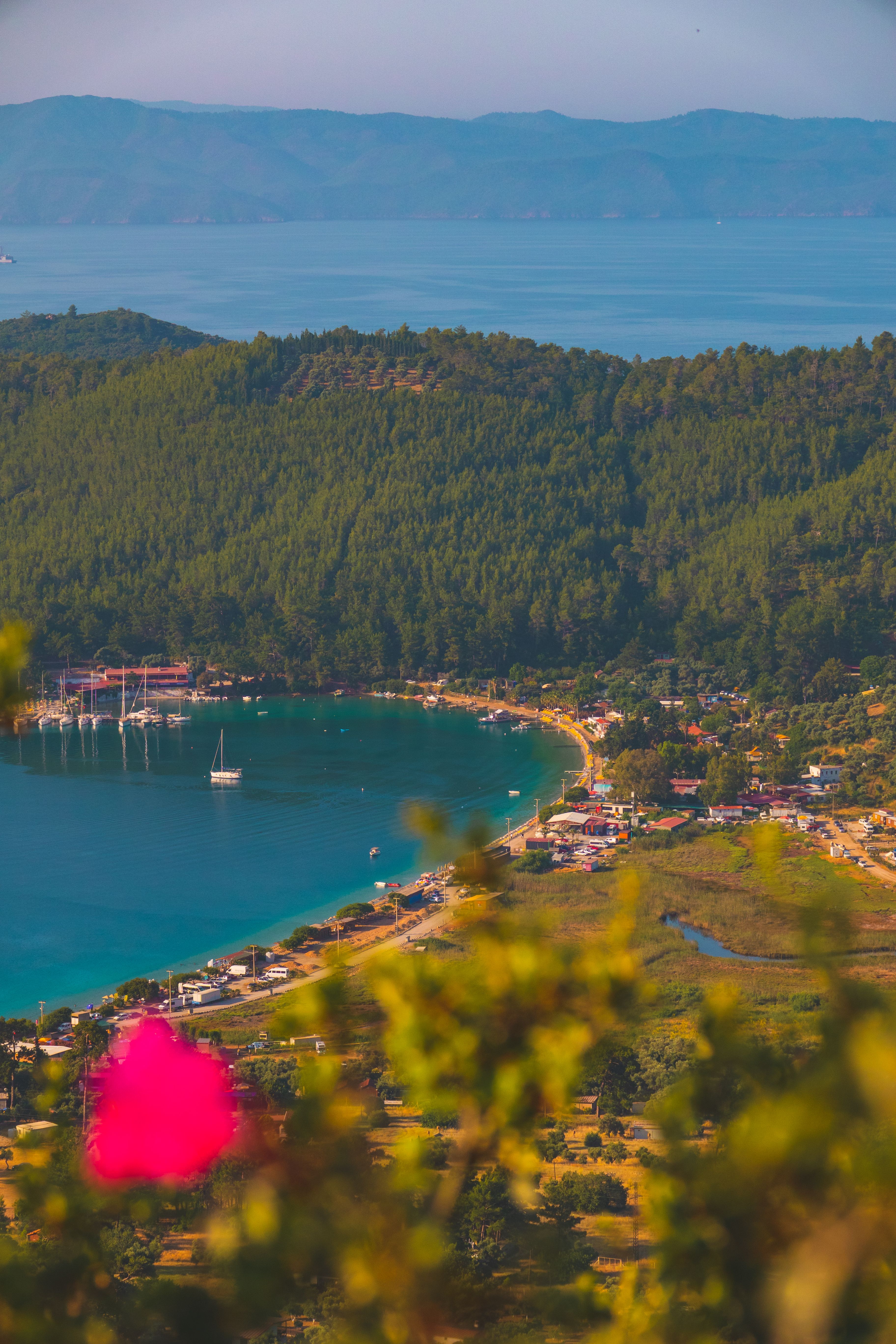 Aerial shot of a coastal village by a lush forest and serene harbor with yachts.