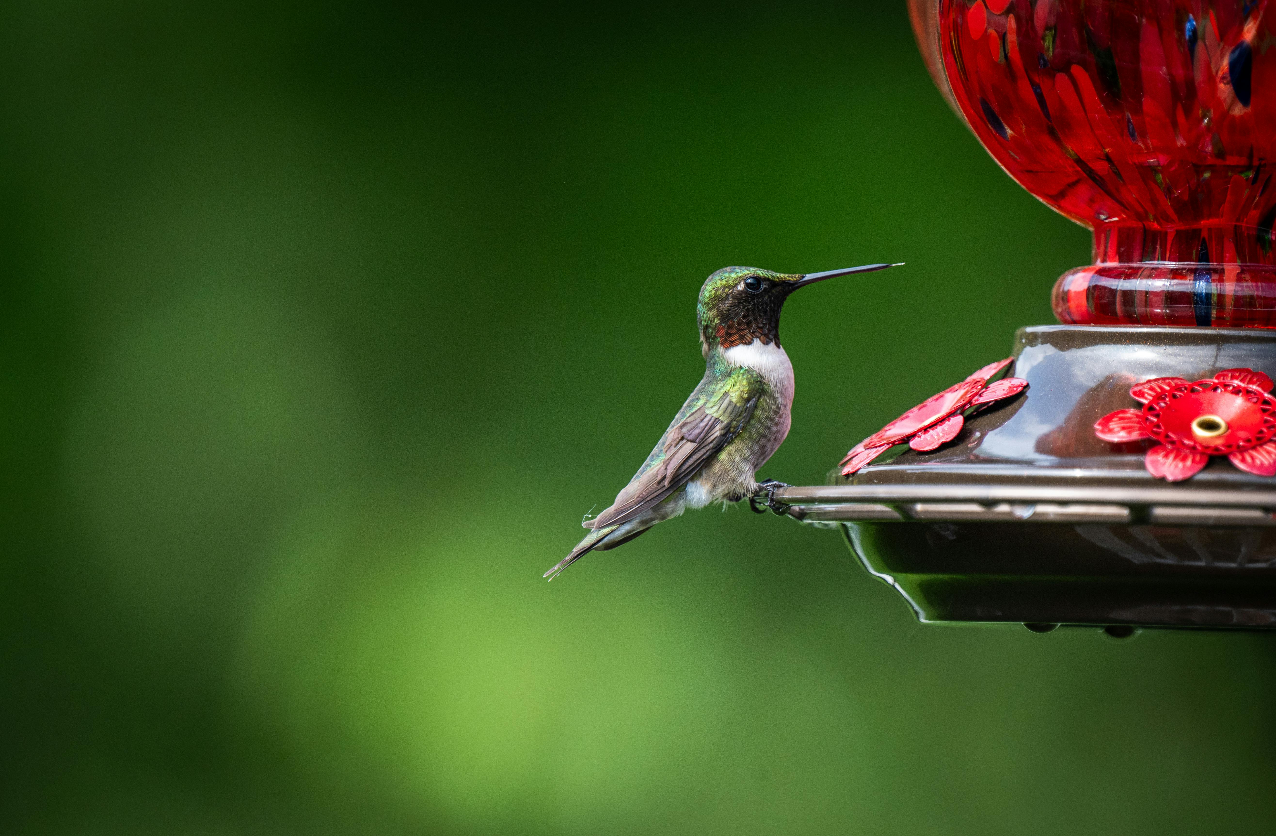 RepostGo Review: The Fastest Path to a Viral Feed for Instagram Content Creators