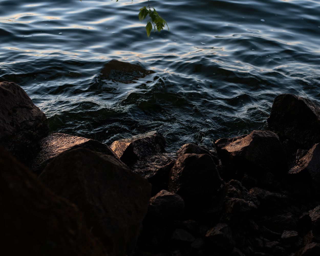 Logan Jones - Photography