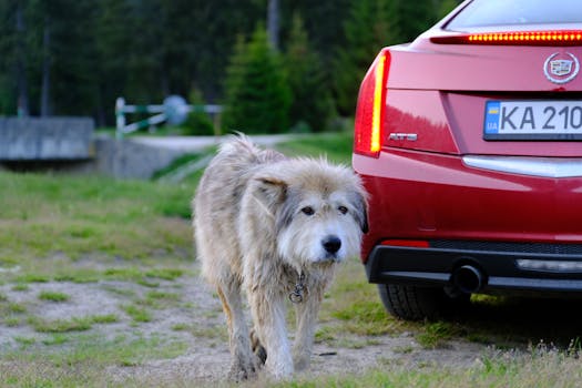 Photo by Kostiantyn Zavhorodnii