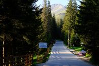 A picturesque road leading through a dense forest with mountain views and a cultural center sign.