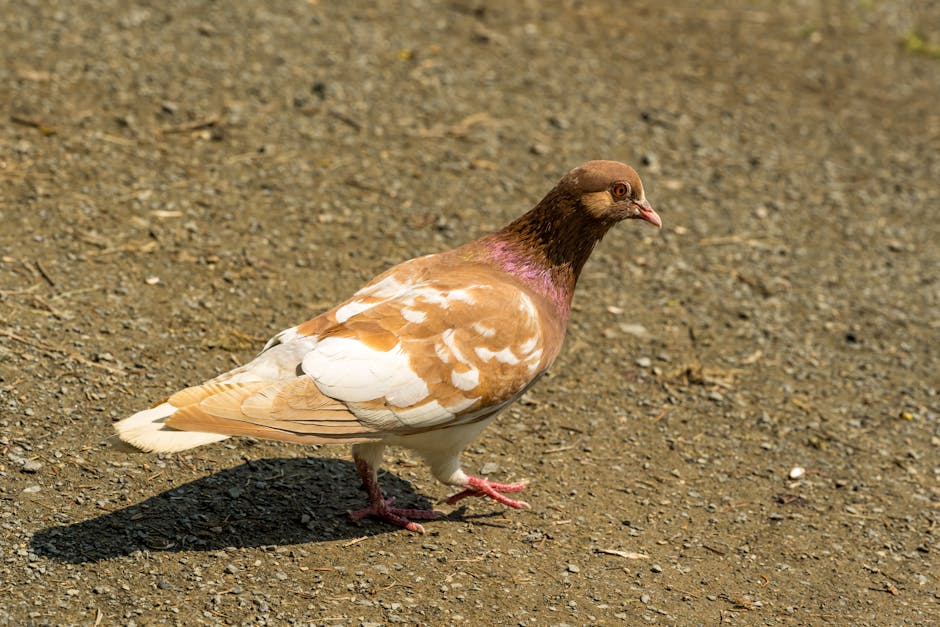 Summary: Your Path to $100,000 in 2025