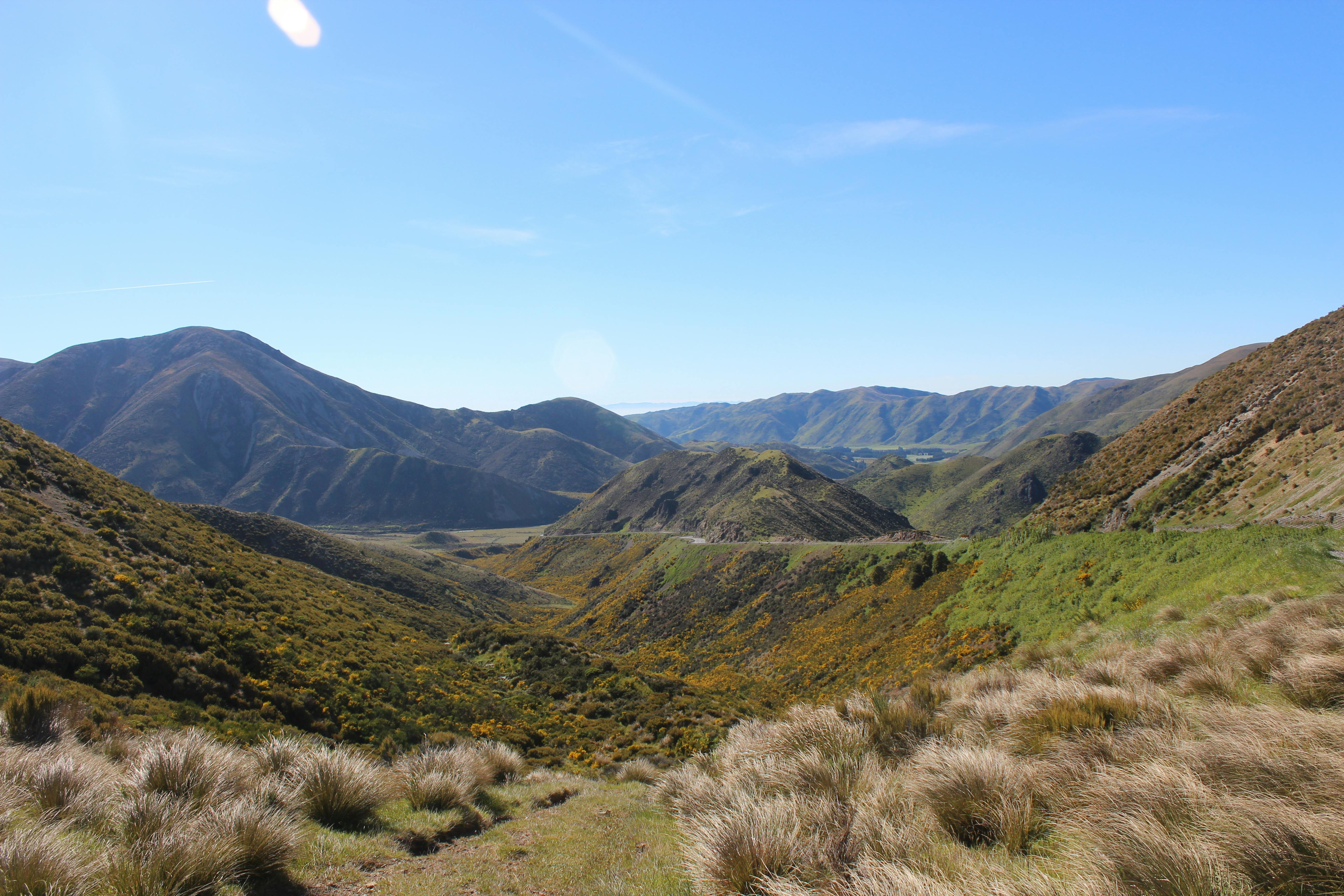 Free stock photo of grass, mountains, nature