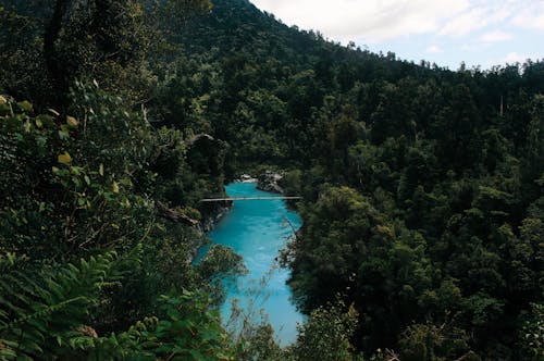 Foto d'estoc gratuïta de bosc, carretera, congost