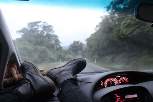 Free stock photo of boots, car, forest Stock Photo