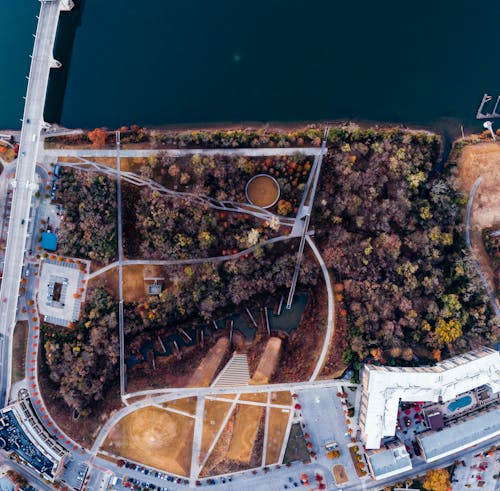 Aerial View of Road and Trees