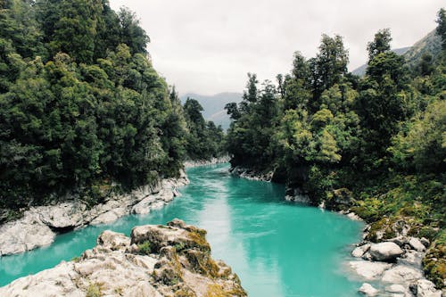 Panoramablick Auf Den Fluss