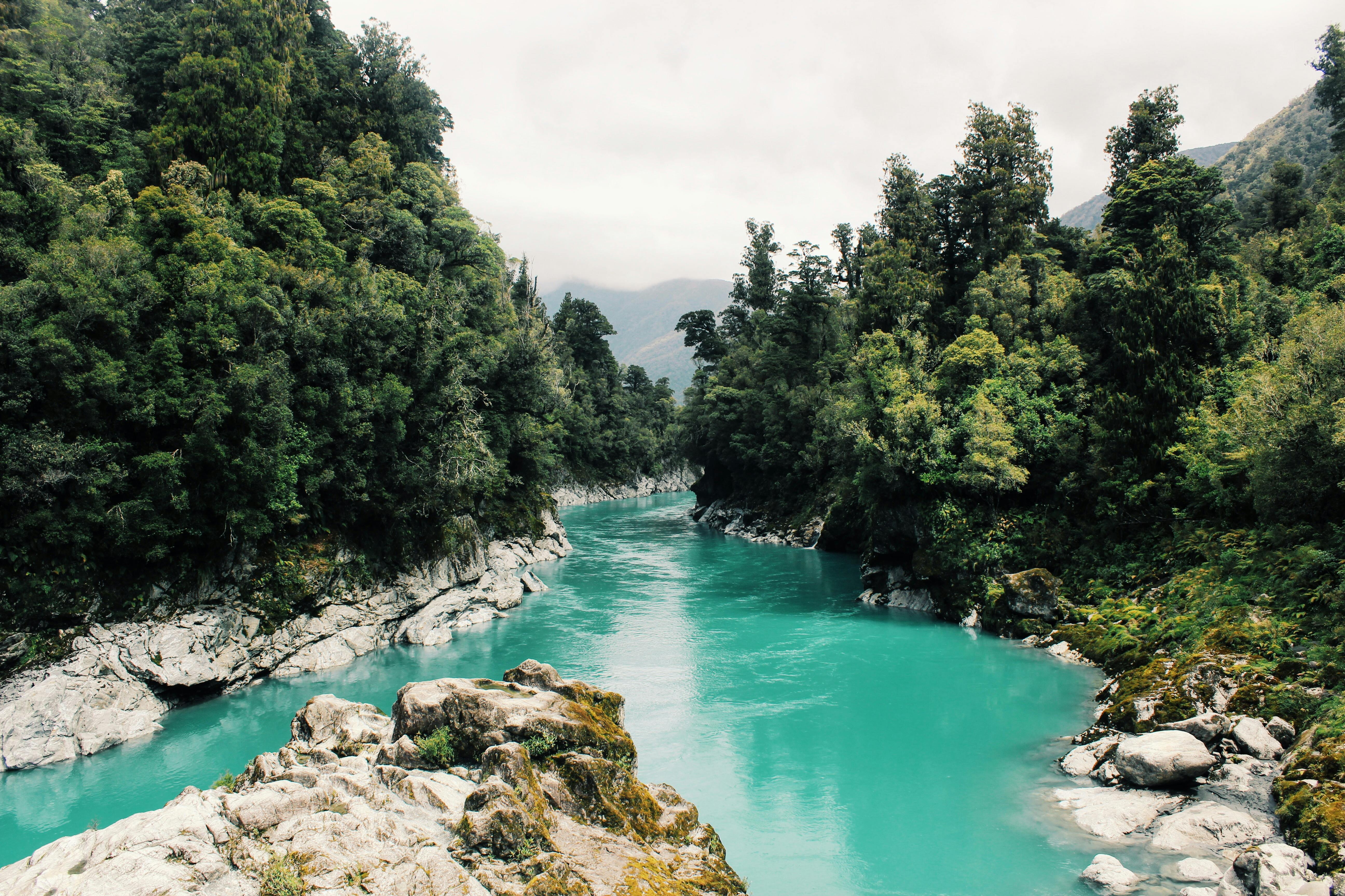A Vein of Life: Exploring the River Systems of Montana on the Map