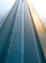 Selective Focus Photo of Water Droplets