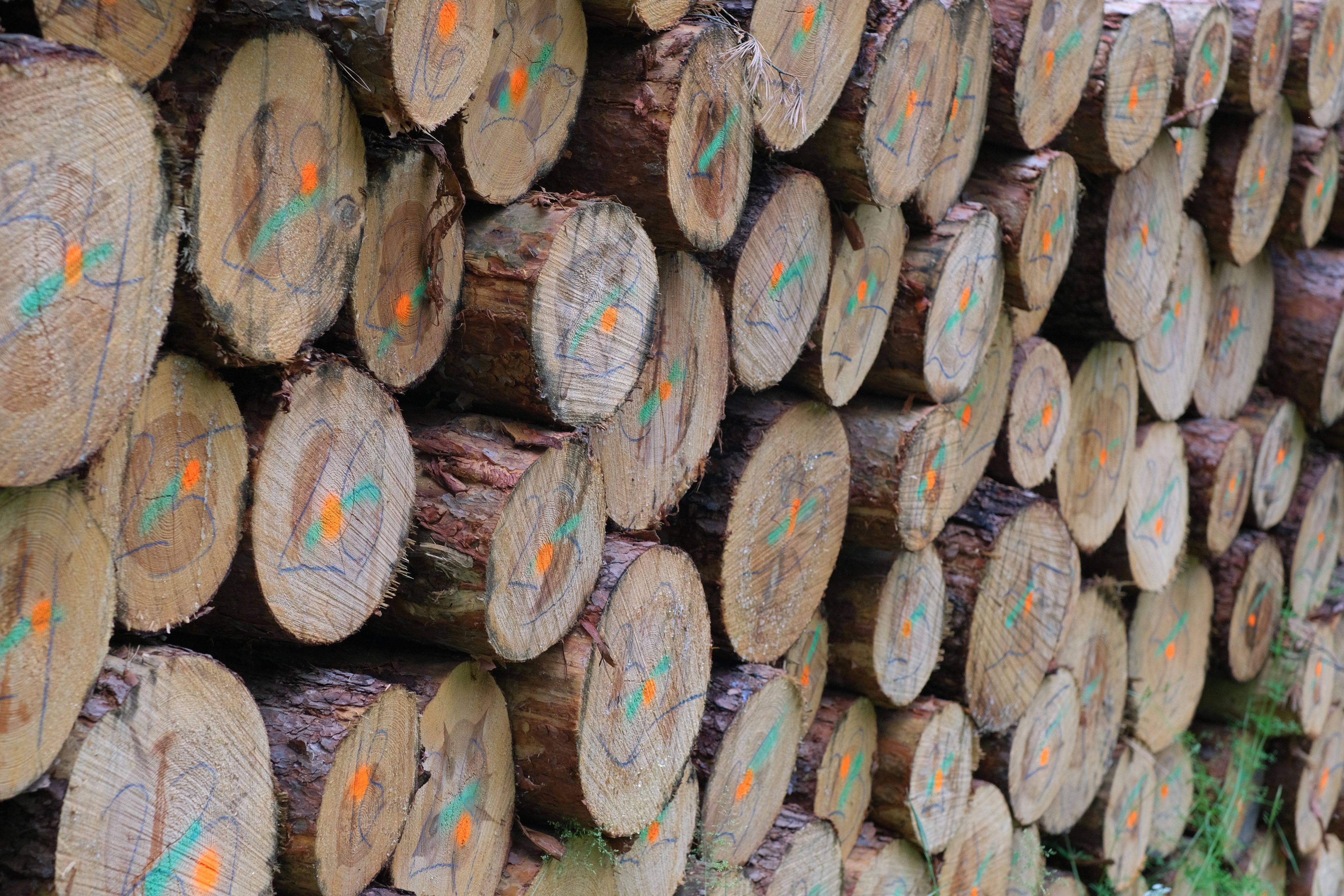 Tracing > Logs? Why You Need All Three