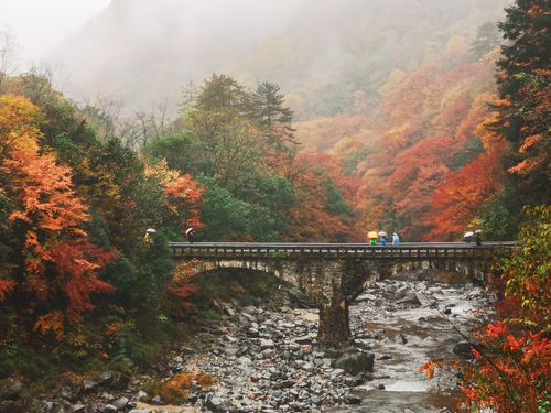 Free A picturesque stone bridge surrounded by vibrant autumn foliage in a misty forest setting. Stock Photo