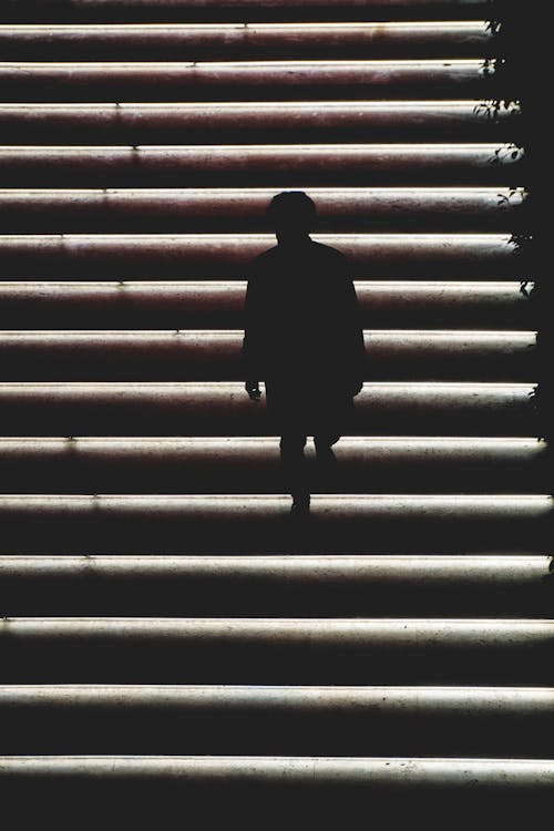 Silhouette Photo of Person on Stairs