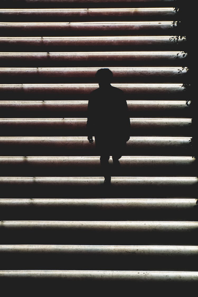 Silhouette Photo Of Person On Stairs