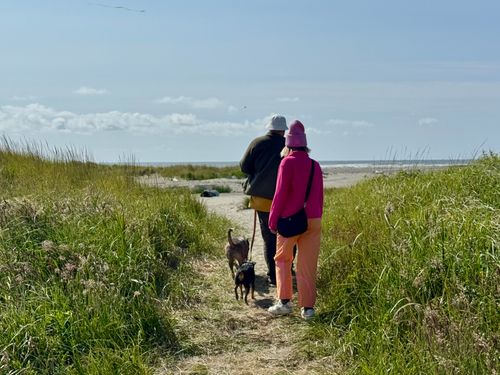Free Two people walking dogs on a grassy path towards the beach under a clear sky. Stock Photo