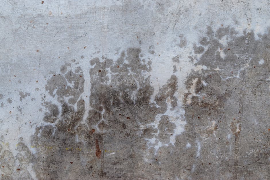 Free stock photo of cement, cracked, decay