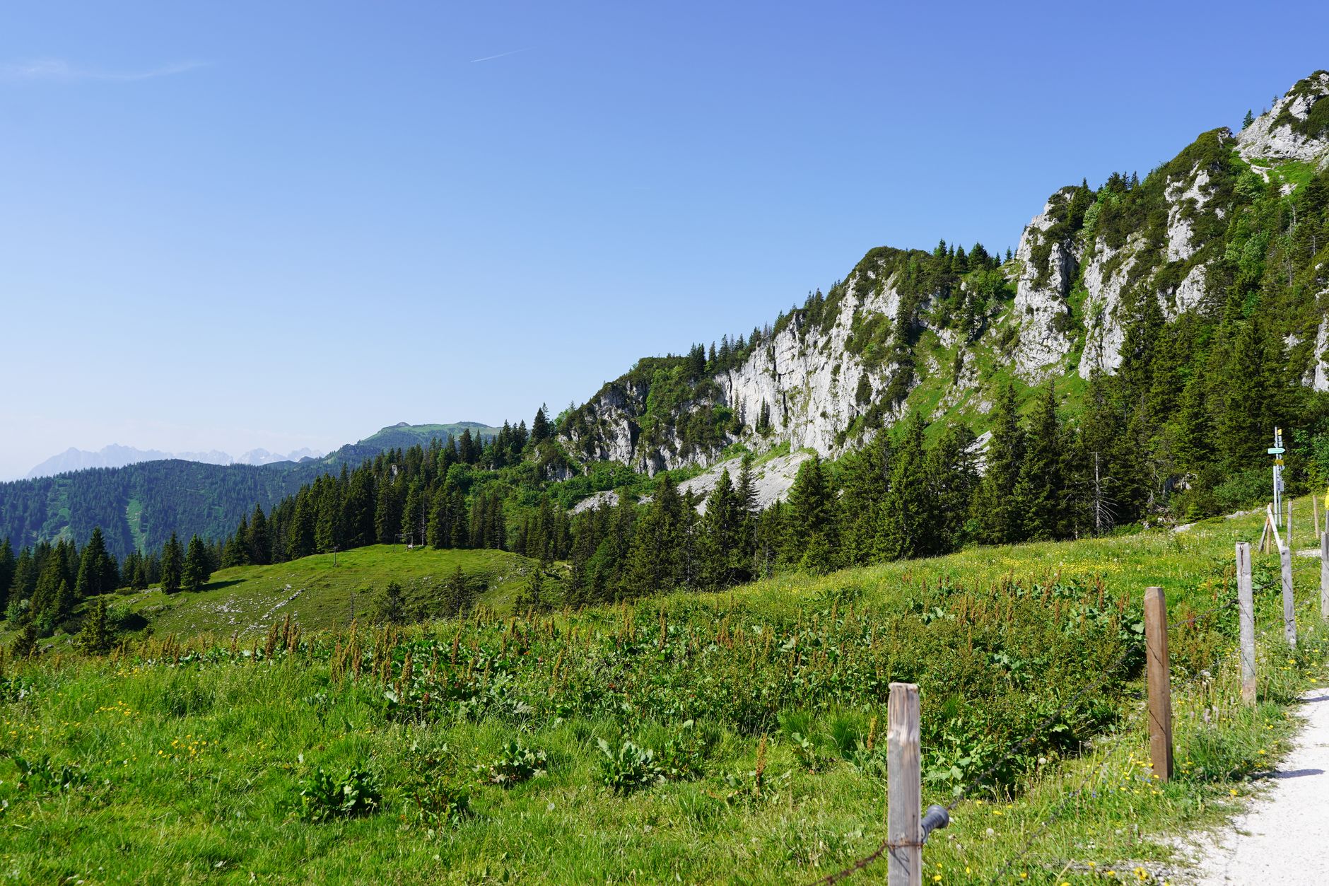Wandern