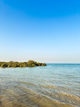 A beautiful aerial view of Al Thakira mangroves in Qatar, featuring blue water and clear skies.