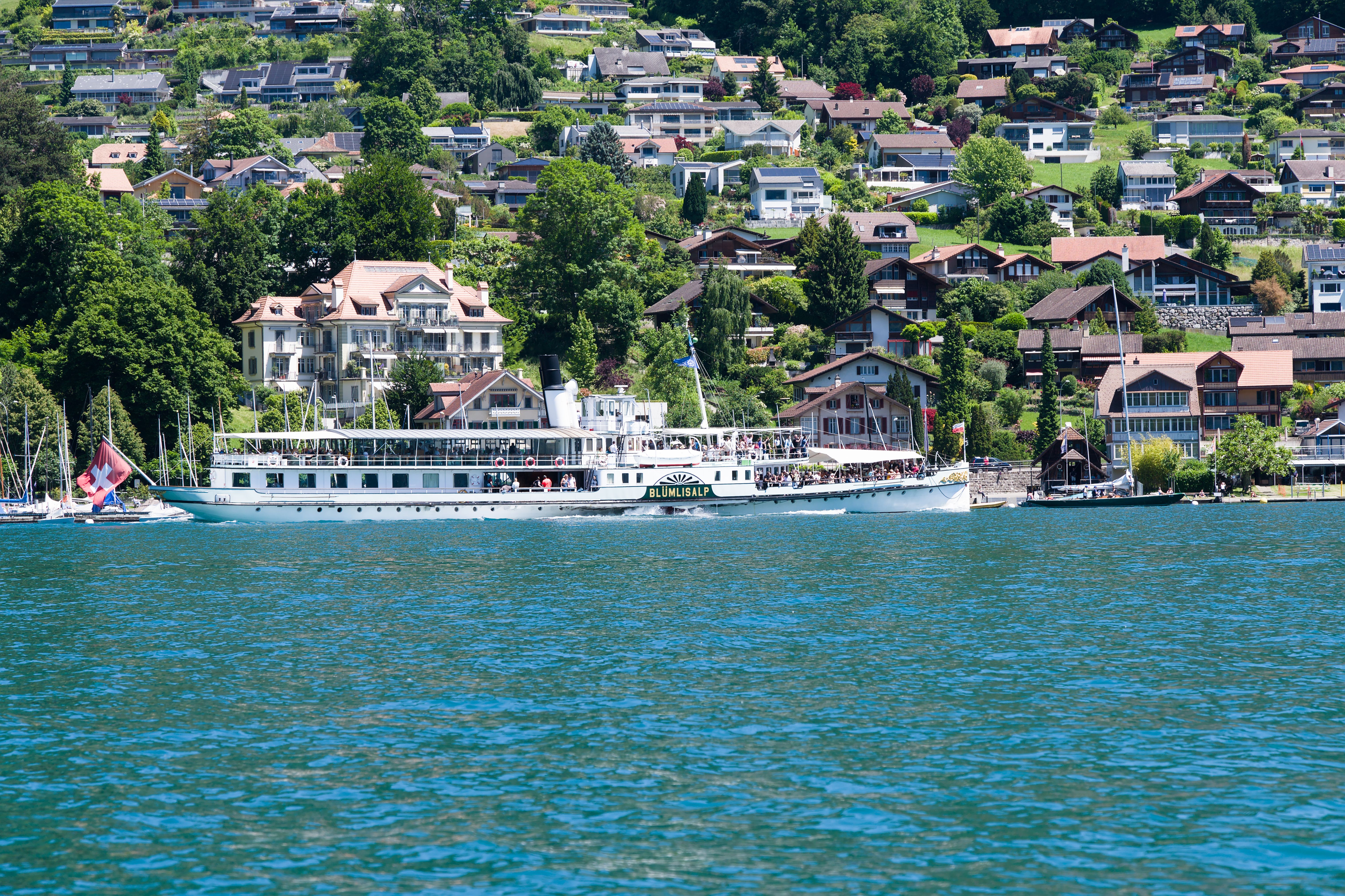 Thunersee boat cruise