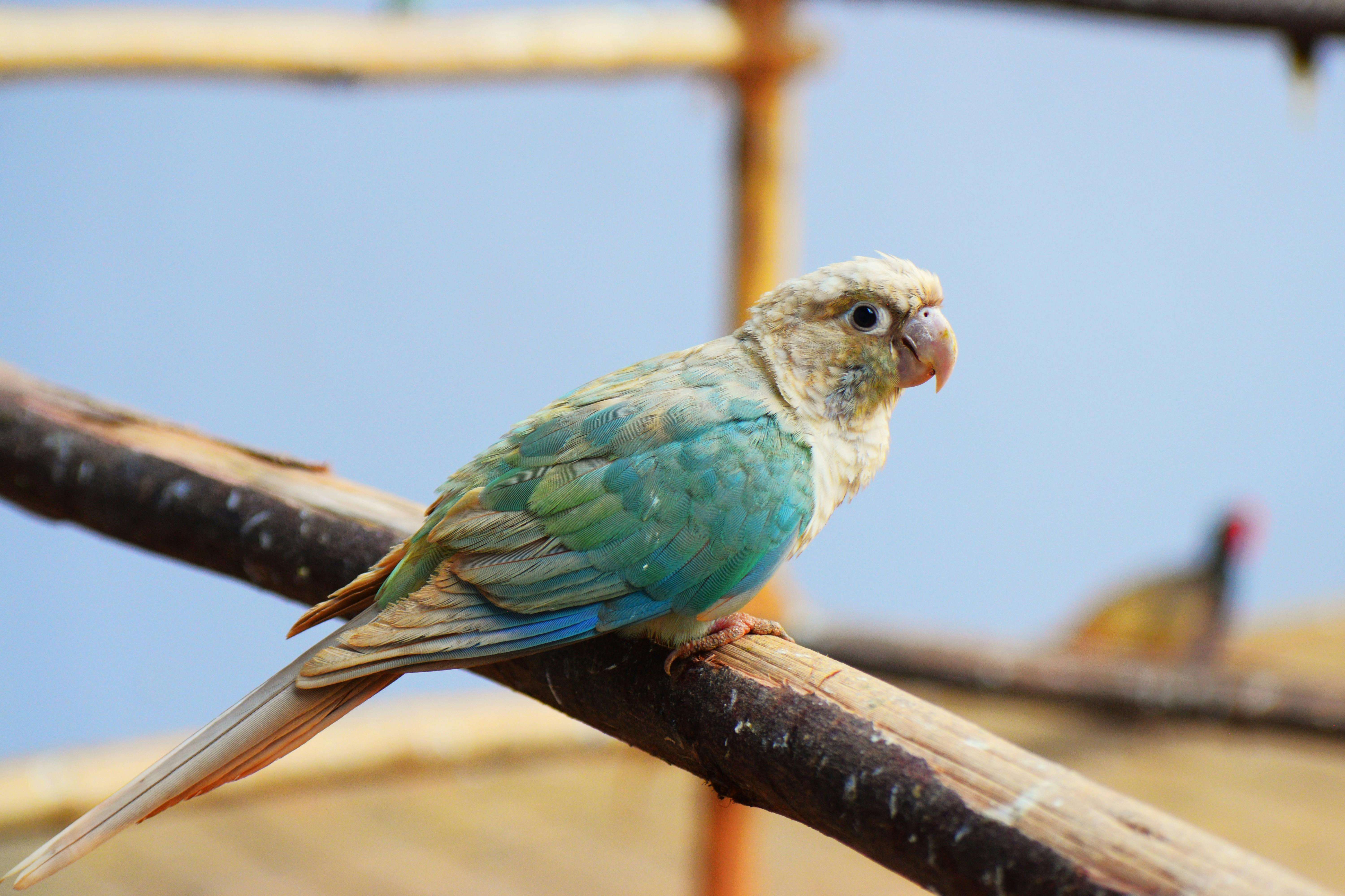 Exotic Flavors from Around the World: Uncover the Hidden Treasures of Global Cuisine