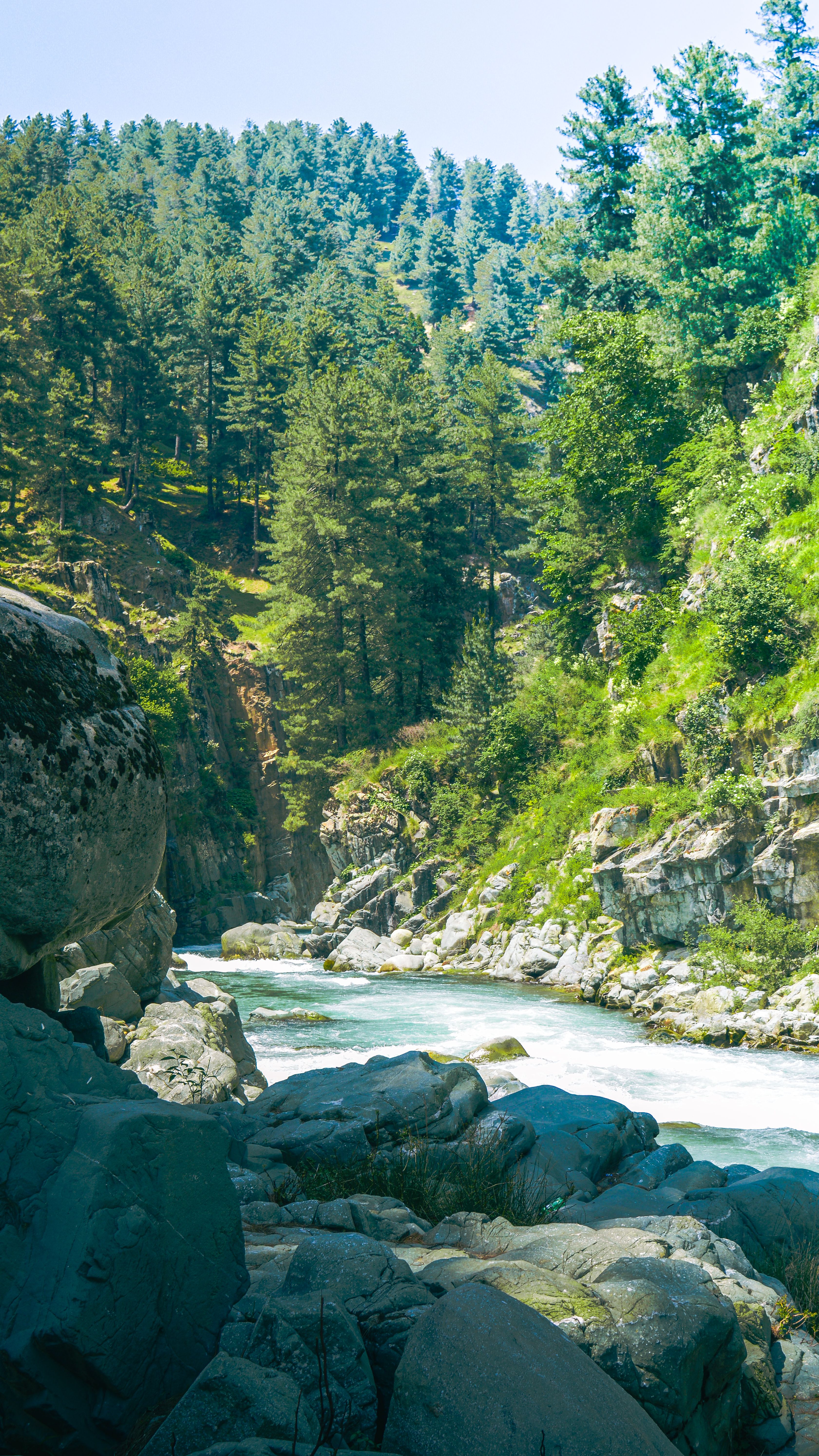 A tranquil river flowing through a rocky forest canyon under a clear blue sky, perfect for nature lovers.