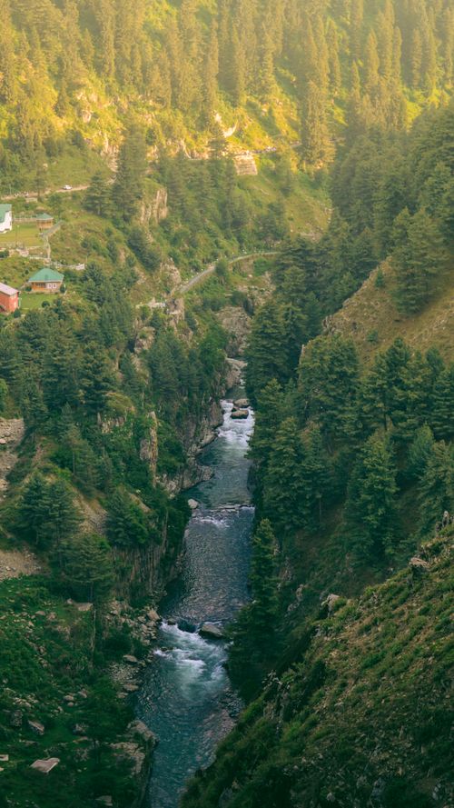 Free A picturesque mountain valley with flowing river and lush pine forests. Stock Photo