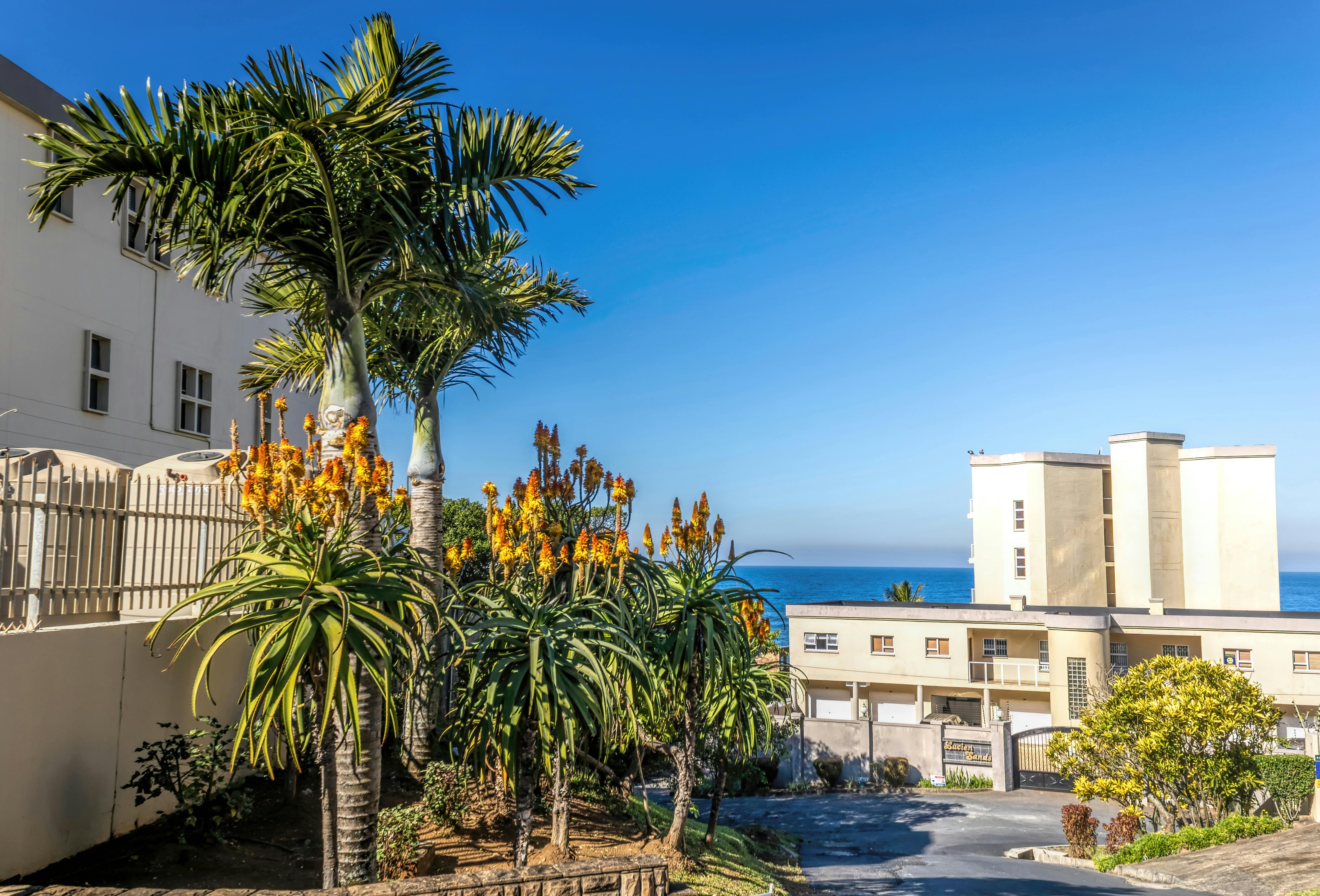 African+Ponograph Photos, Download The BEST Free