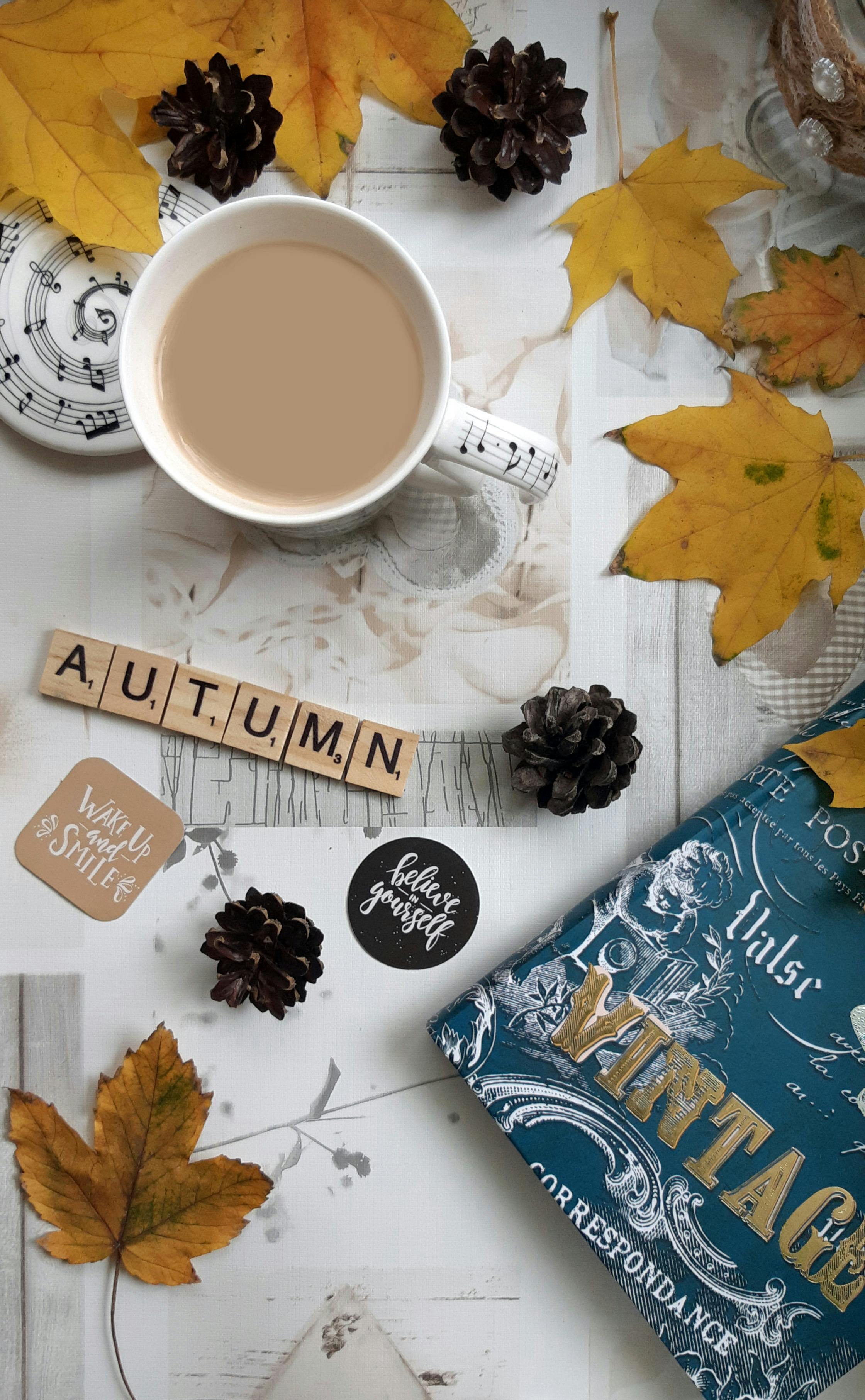 Photo by YULIIA KOLIADA