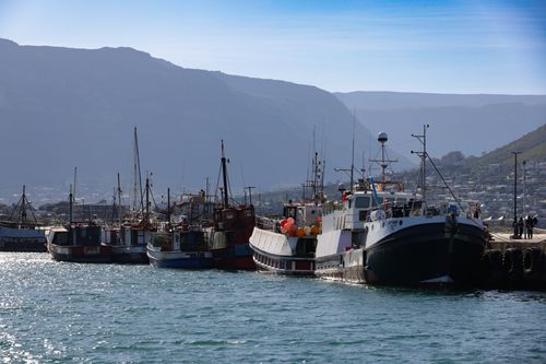 Free A scenic view of fishing boats in Hout Bay Harbor under a clear blue sky. Stock Photo
