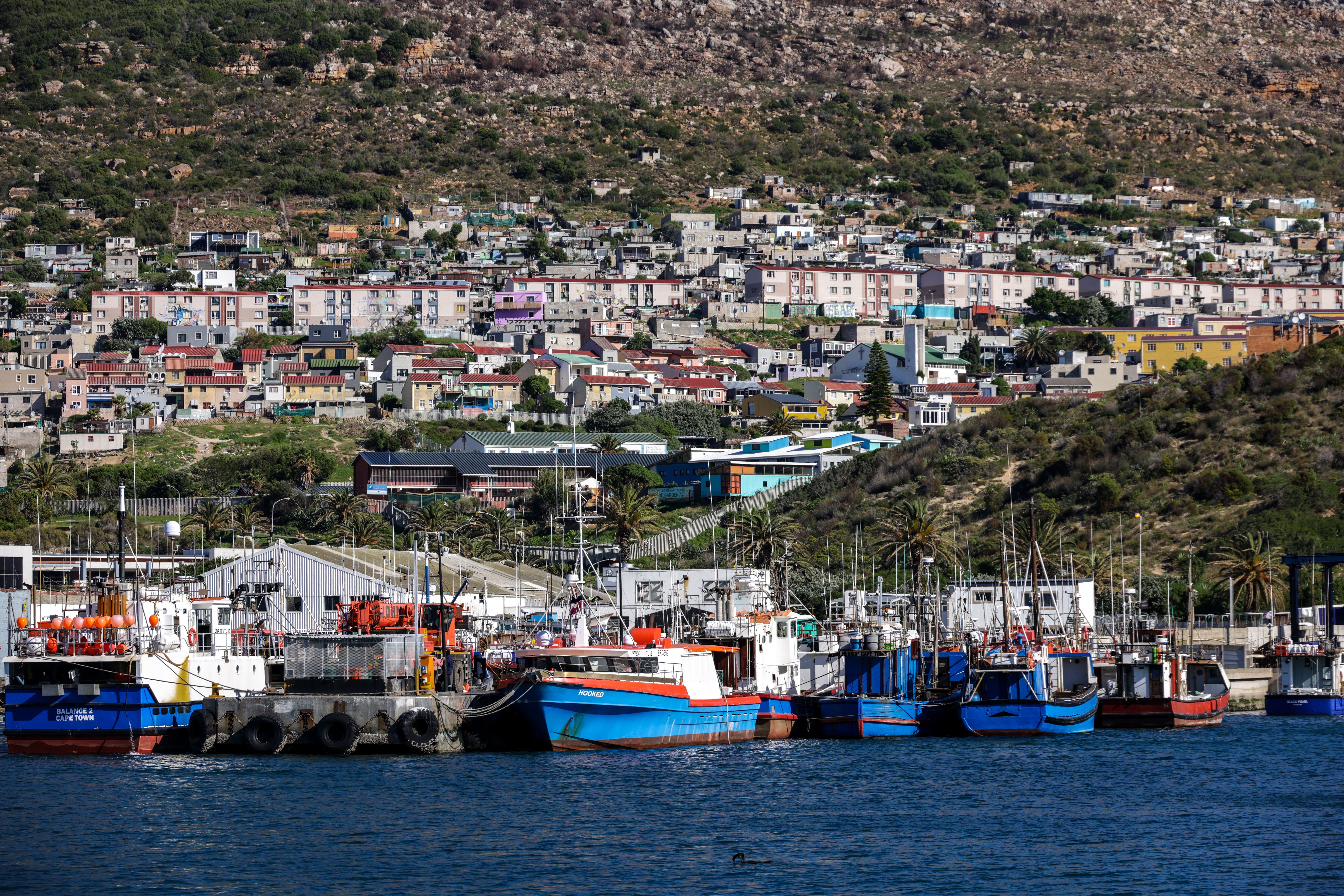 Fishing boats in Hout Bay harbour with the Sentinel peak rising behind