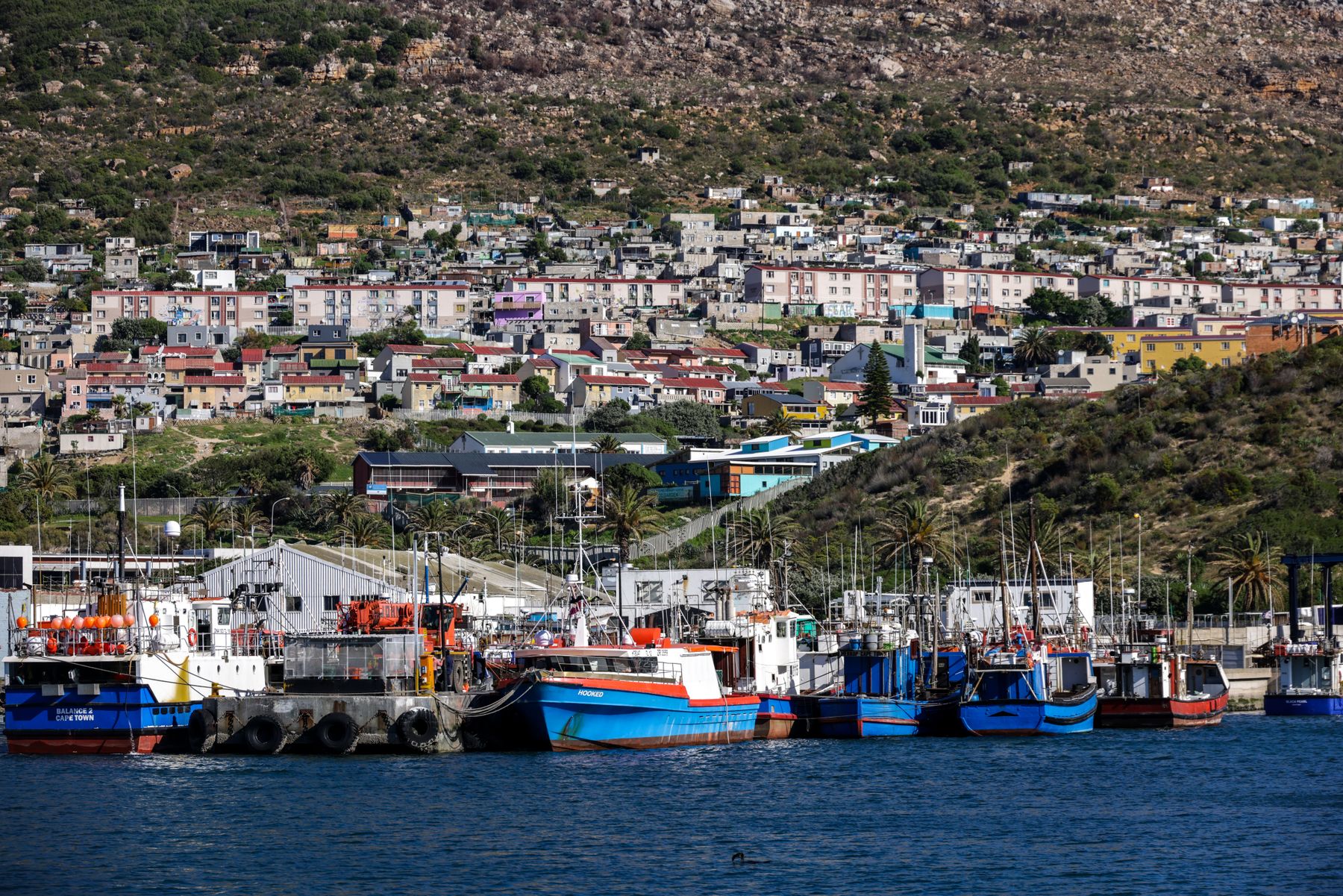 Langebaan with Kids: A Practical Day Trip from Cape Town