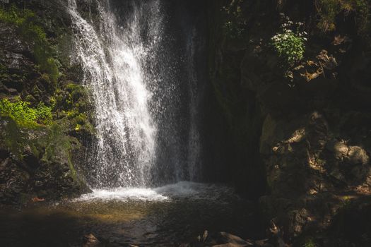 Peaceful waterfall in the lush Black Forest, Todtnau, showcasing nature's beauty and tranquility.