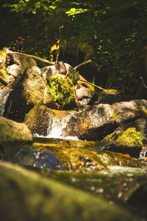 Free A peaceful waterfall flowing over mossy rocks in the lush Black Forest, Germany. Stock Photo