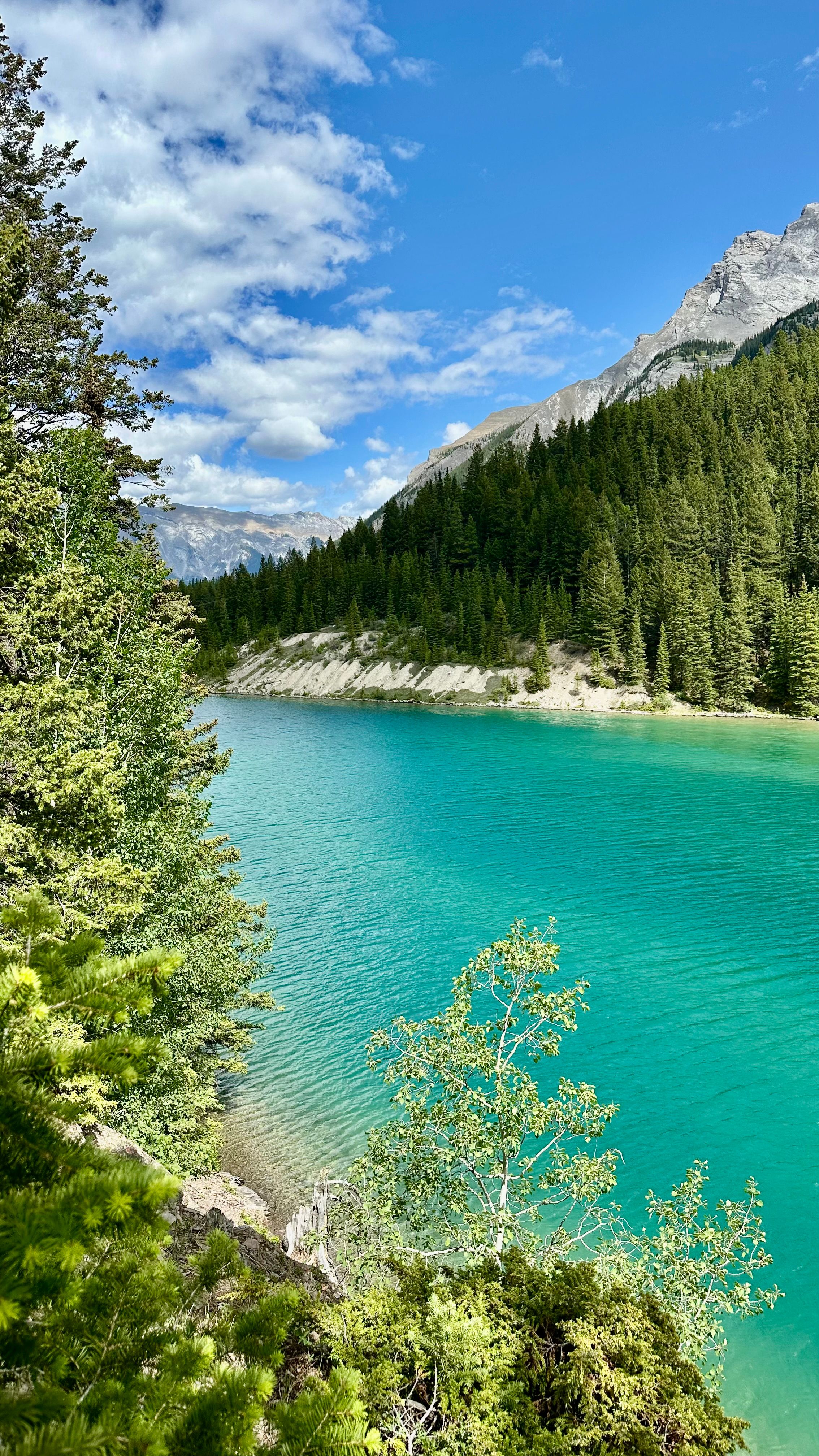 Serene Mountain Lake with Lush Forest · Free Stock Photo