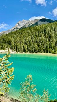 Tranquil mountain lake surrounded by lush pine forests and majestic peaks under a bright blue sky.