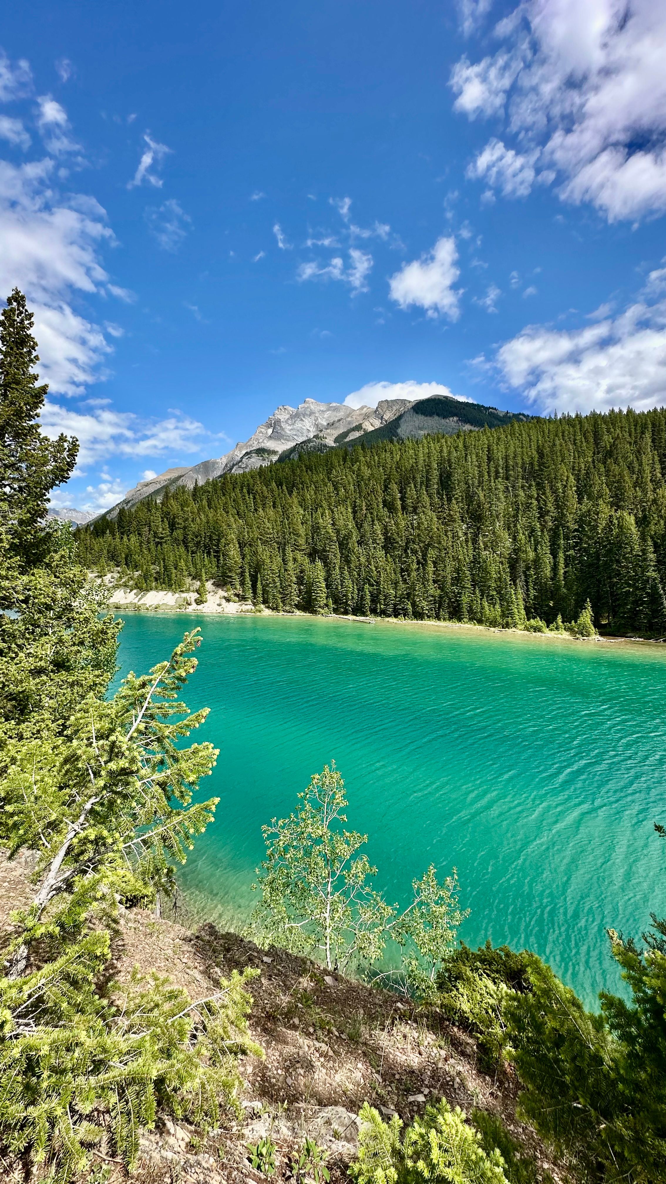 Scenic Mountain Lake and Forest Under Bright Sky · Free Stock Photo