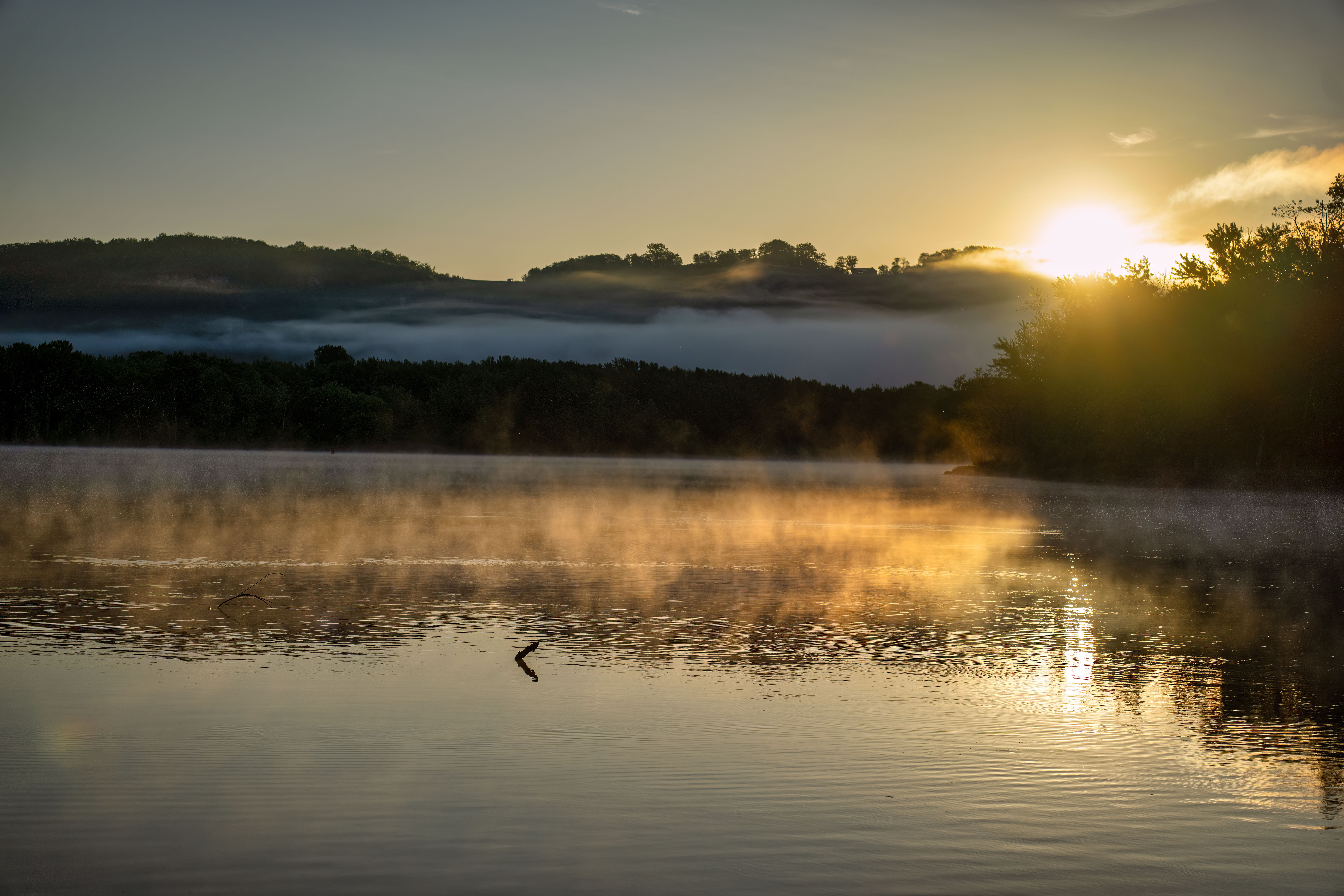 Serene Sunrise Over Misty Lake in Minnesota · Free Stock Photo