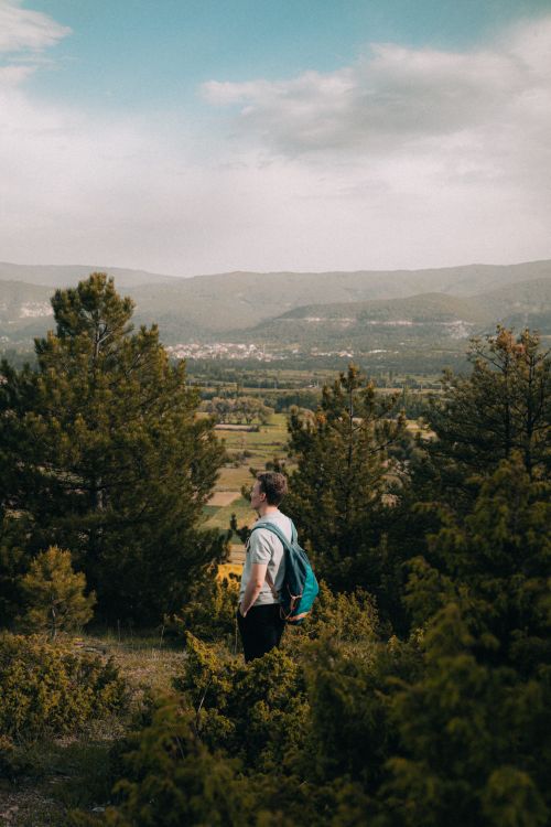 Free Man with backpack enjoys a mountain view from a pine forest. Stock Photo