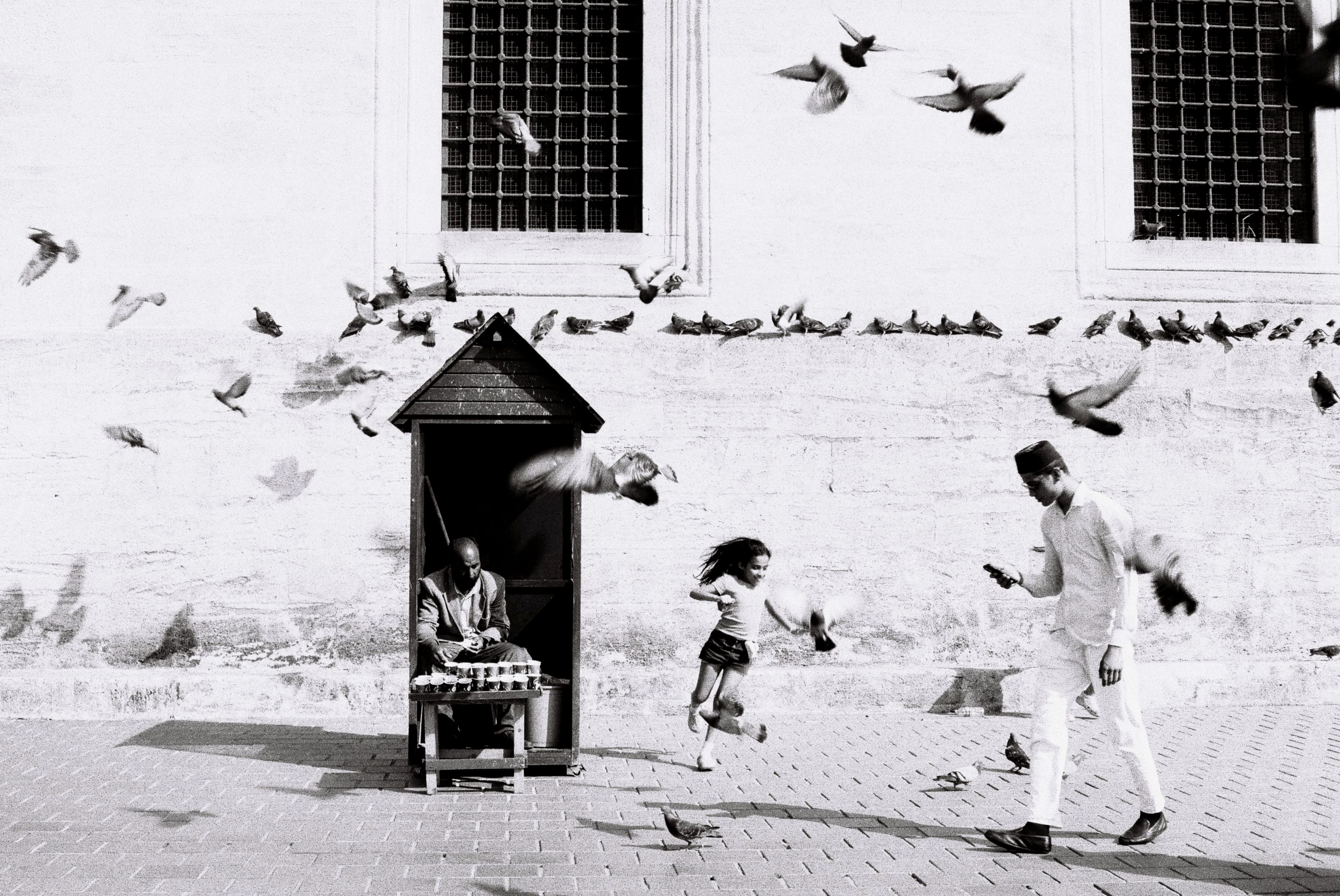 Gratuit Une scène de rue en noir et blanc candide à Istanbul mettant en vedette des pigeons et des personnes en mouvement. Photos