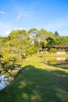Peaceful countryside scene featuring a grassy path, trees, and a clear blue sky, perfect for relaxation.