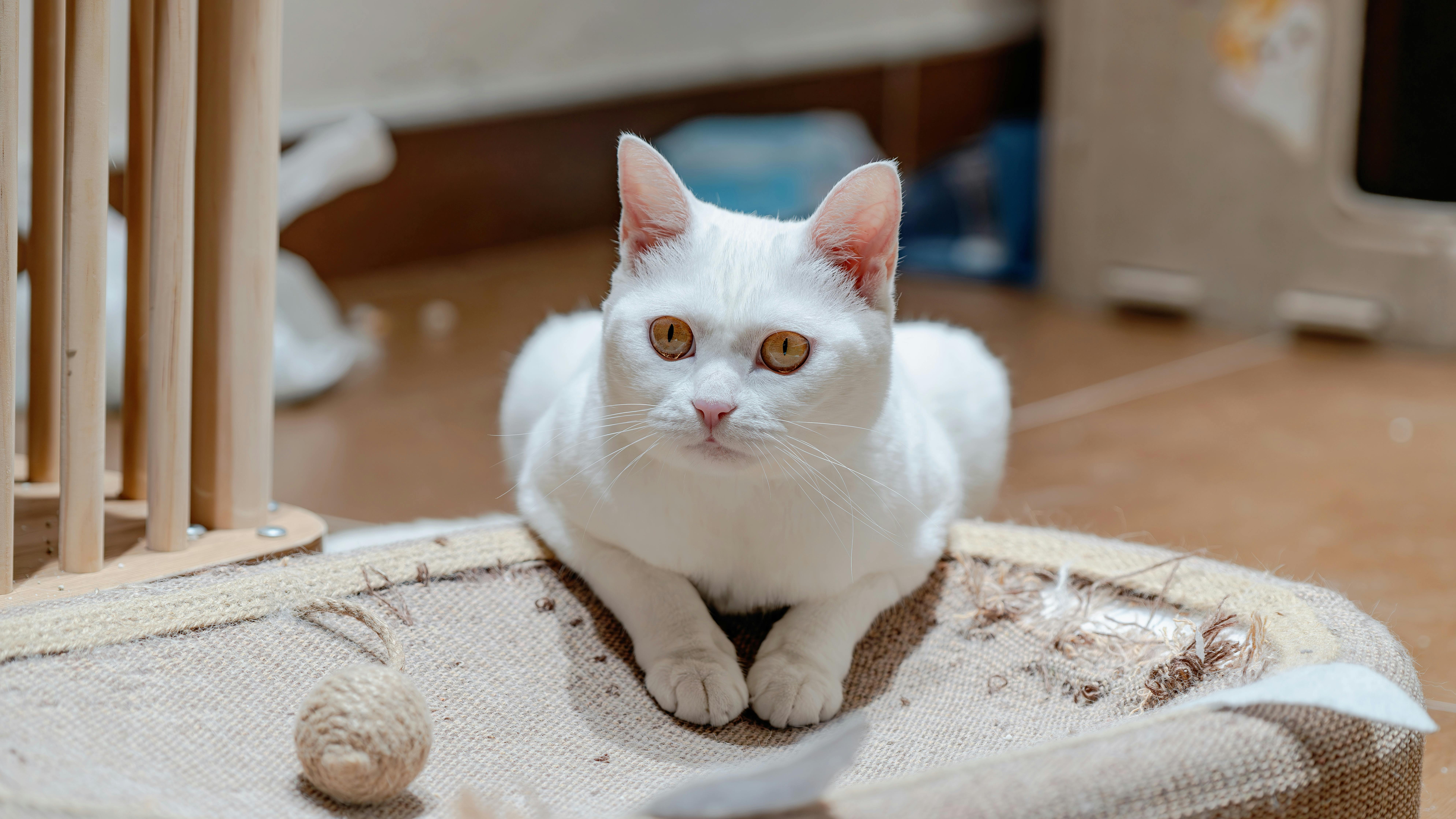 不怕錯過財神爺！刮刮樂藏「神秘英文代碼」 🎉