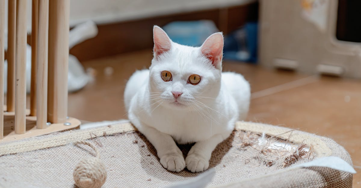 不怕錯過財神爺!刮刮樂藏「神秘英文代碼」 🎉