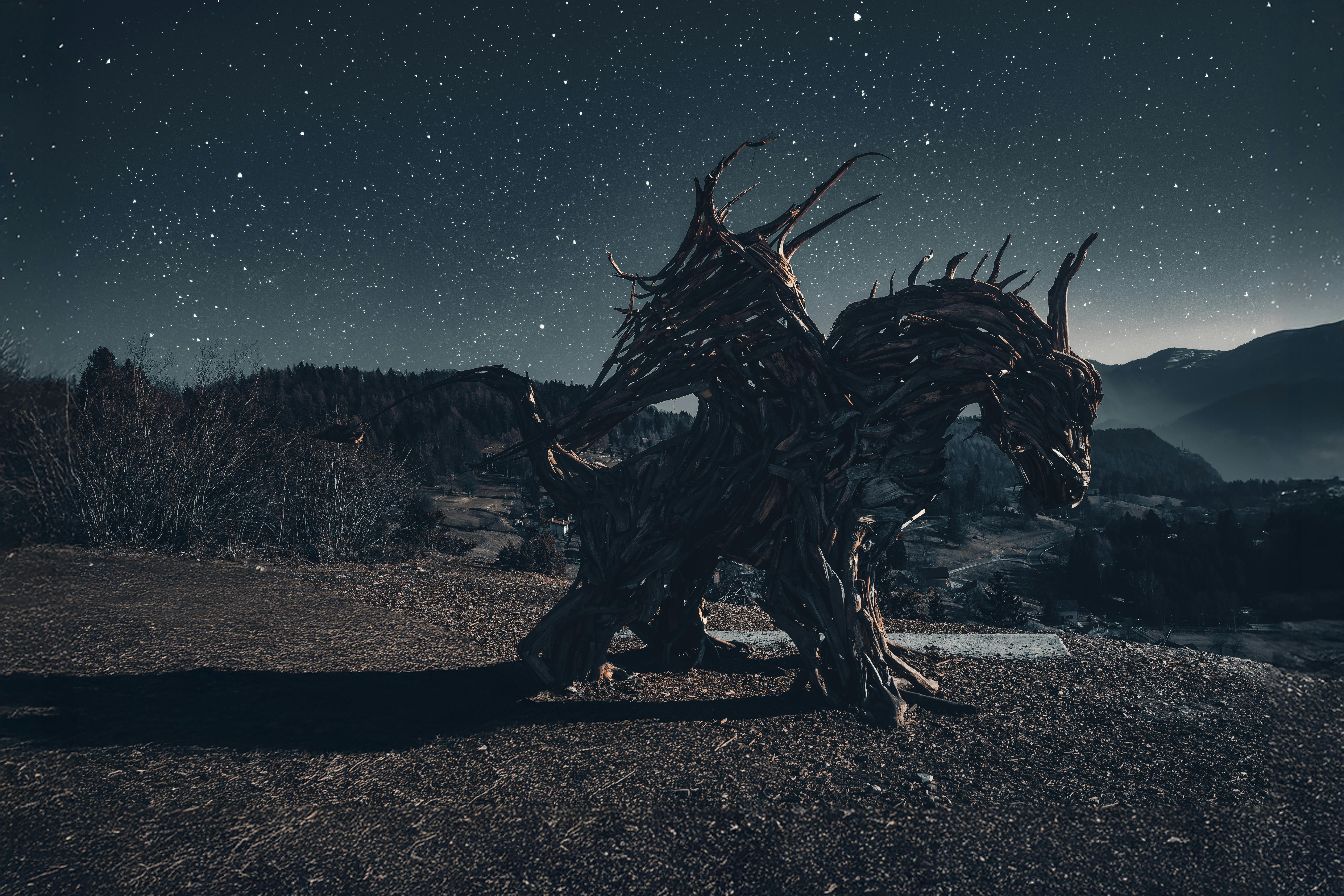 Mystical Creatures and Their Magical Allure