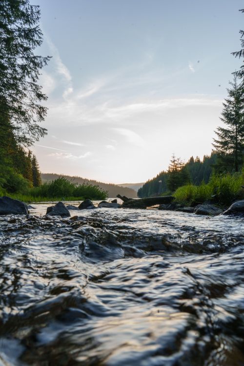 Free Tranquil mountain river flowing through lush green forest at sunrise in Județul Vâlcea, Romania. Stock Photo
