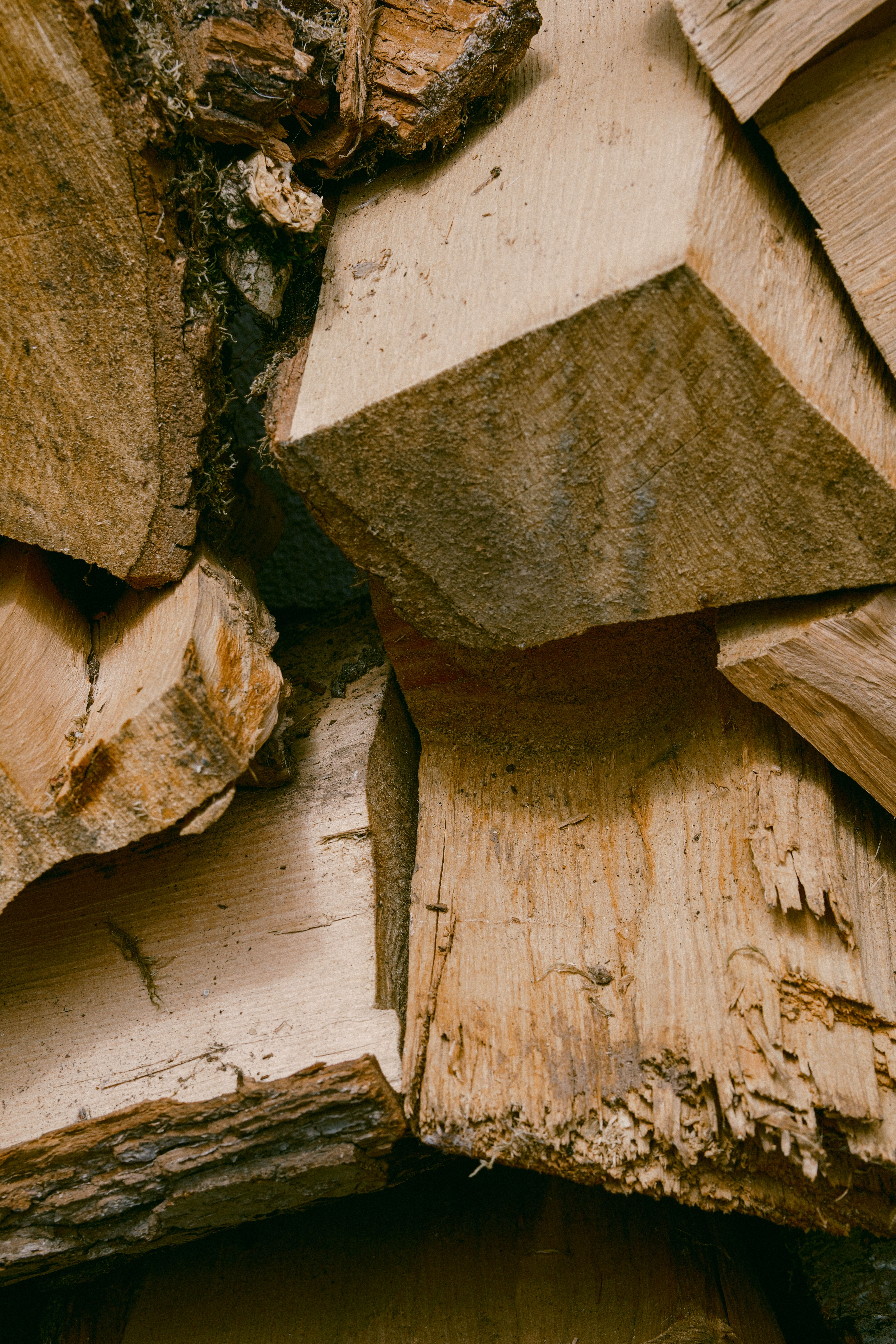 Detailed view of natural stacked firewood showing texture and wood grain patterns.