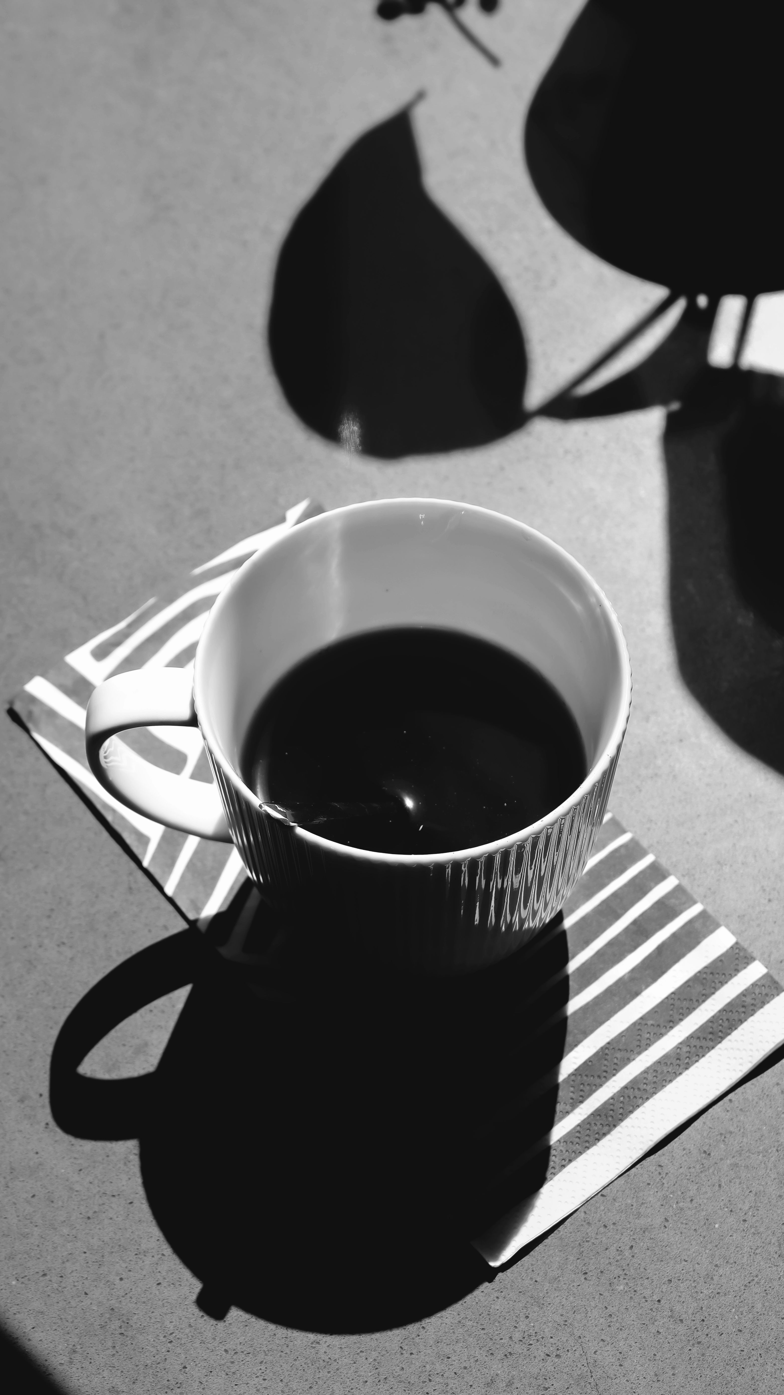 The Morning Ritual 1