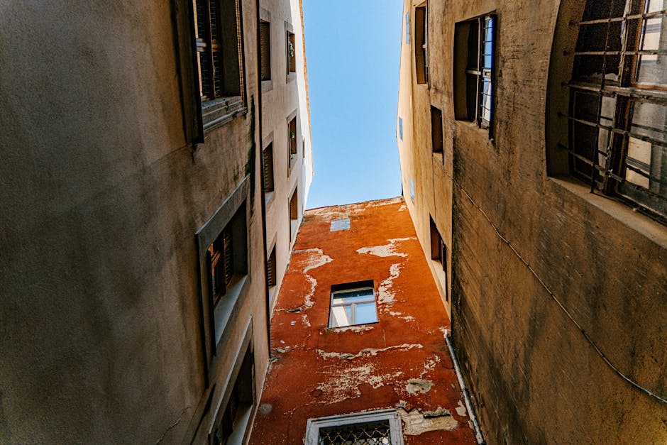 SNS 관련 이미지